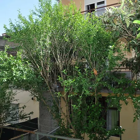 Apartman Ljubica *