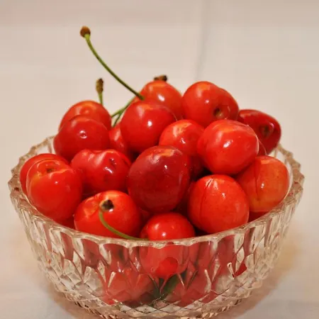 Ljubica * מאקרסקה
