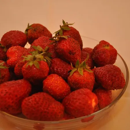 Ljubica マカルスカ